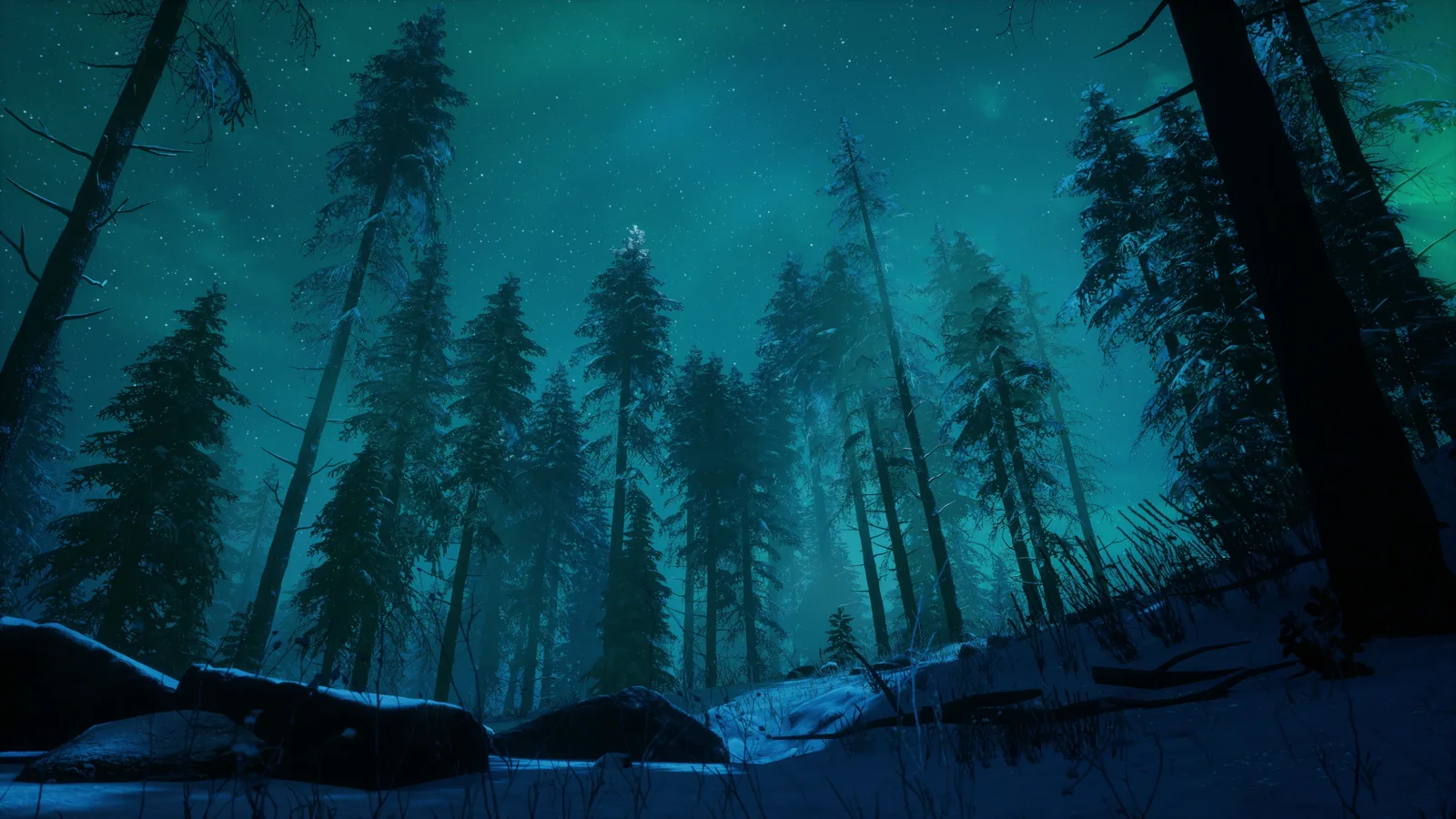Blue-green aurora above a dark pine forest
