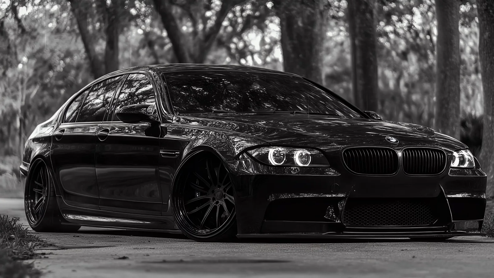 Black BMW M760 photographed low against a monochrome woodland