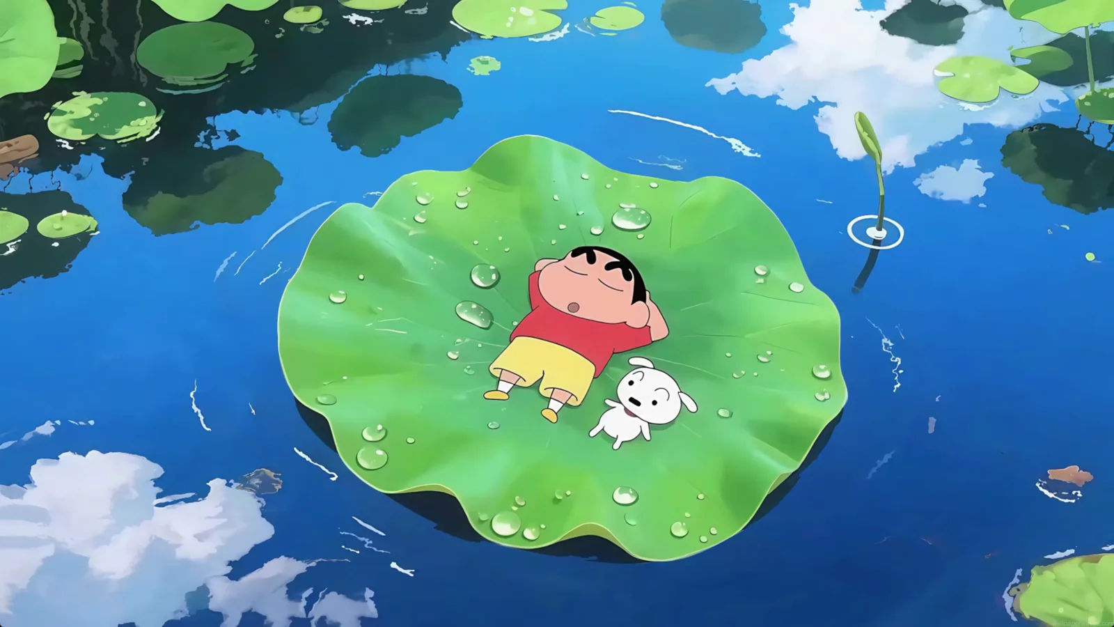 Shinchan and Shiro sleeping on a green water lily in a blue pond
