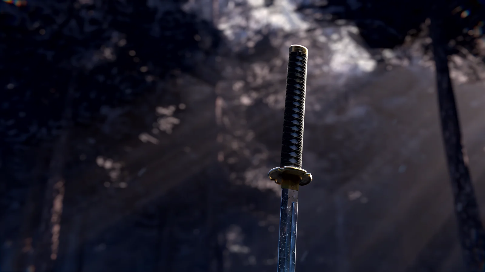 Upright katana in a shadowy forest clearing